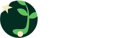 lucero